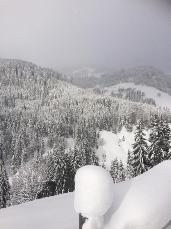 Appartements Feroli Dienten am Hochkönig Buitenkant foto